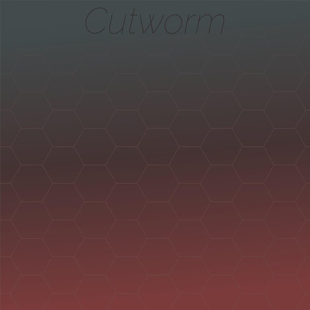 Cutworm