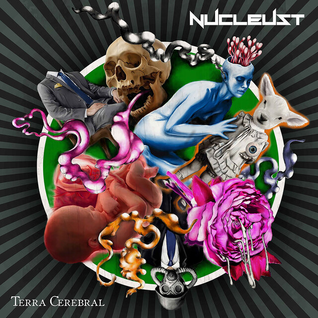 Terra Cerebral