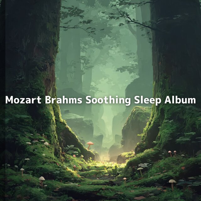 Mozart Brahms Soothing Sleep Album