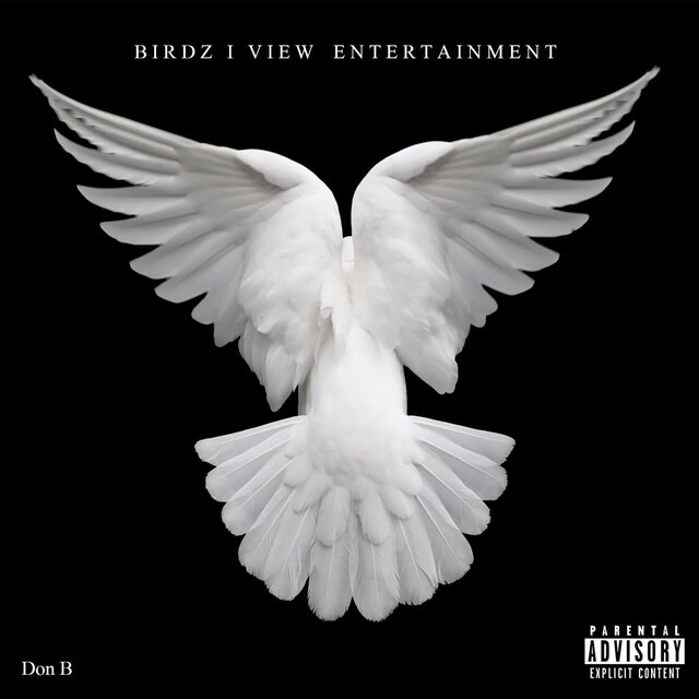 The BIV Way