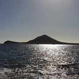 Summer Waves