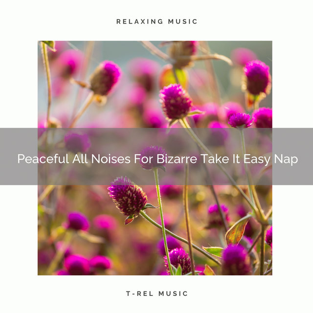Peaceful All Noises For Bizarre Take It Easy Nap
