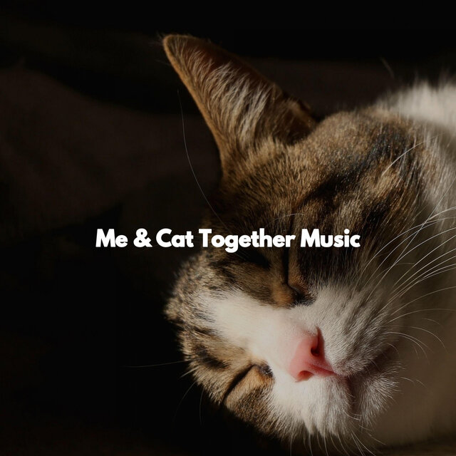 Me & Cat Together Music