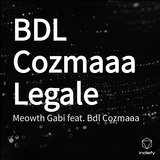 BDL Cozmaaa Legale