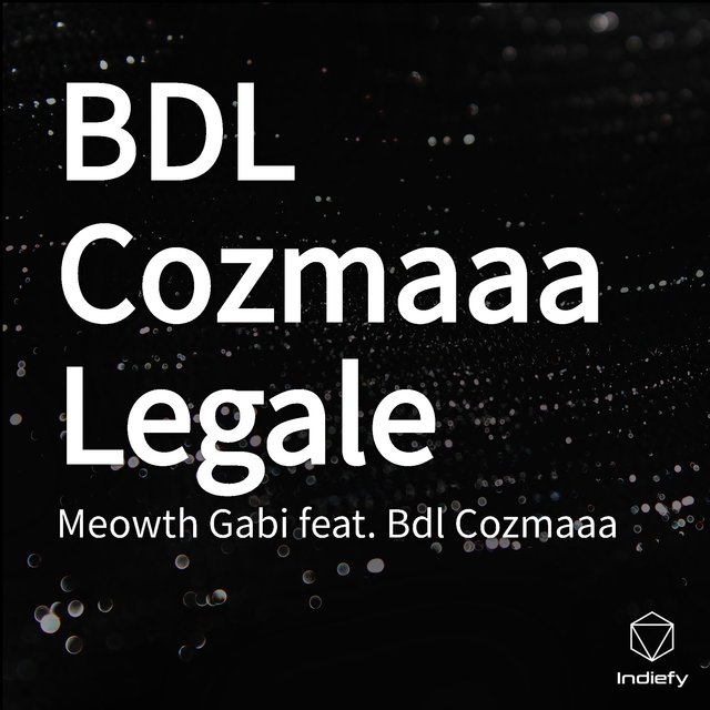 BDL Cozmaaa Legale