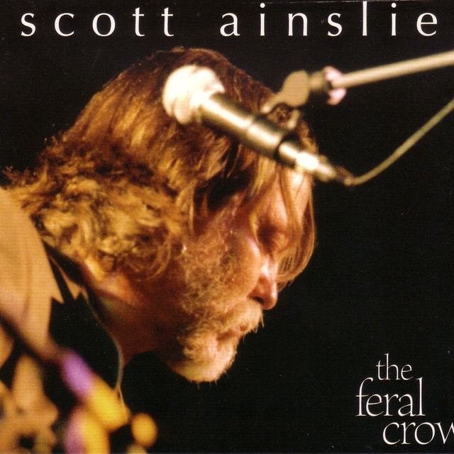 The Feral Crow
