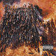 Cover art for album This Week's Enemy by Vino La Mano