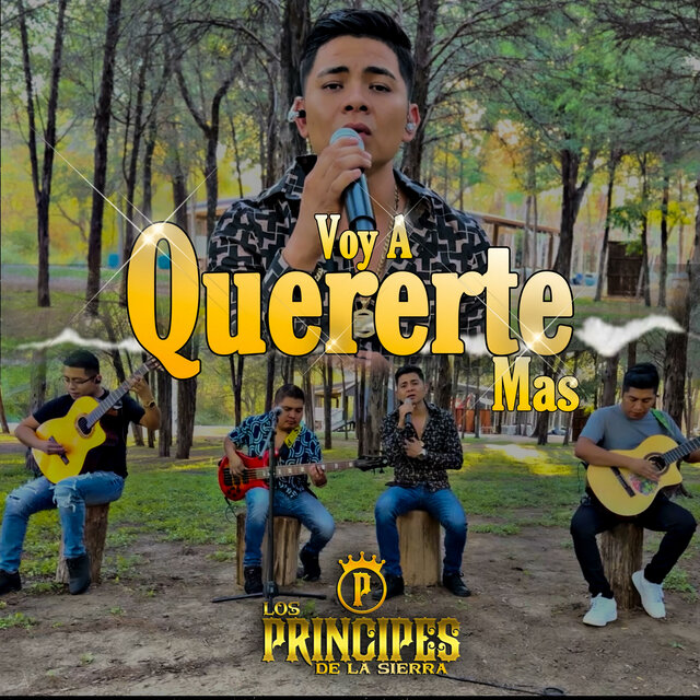 Voy a Quererte Mas