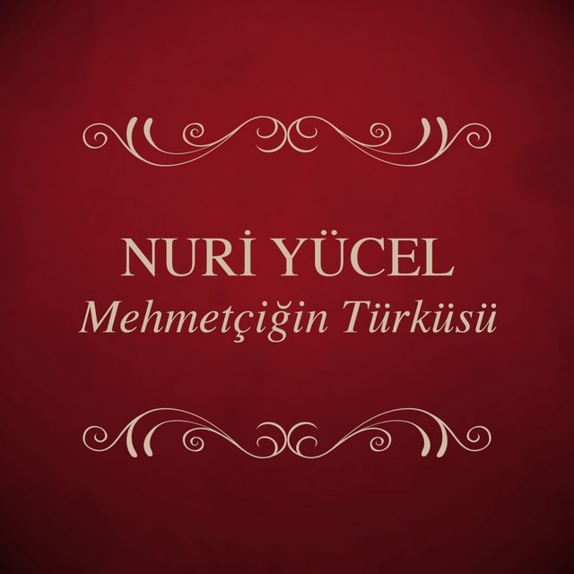 Mehmetçiğin Türküsü