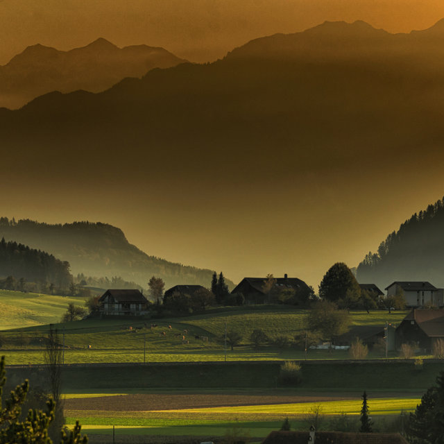Breath of Green Days | Natural Remedies, Nature's Blessing