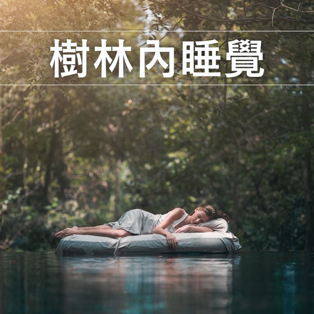 樹林內睡覺：深度睡眠的森林聲音，森林溪流，河流，小鳥歌曲，舒緩的白噪音，純大自然音樂