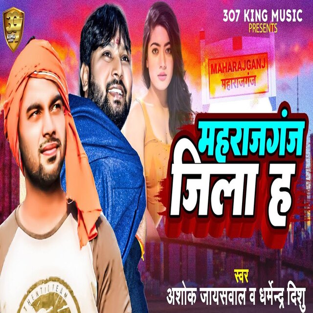 Jila Maharajganj H