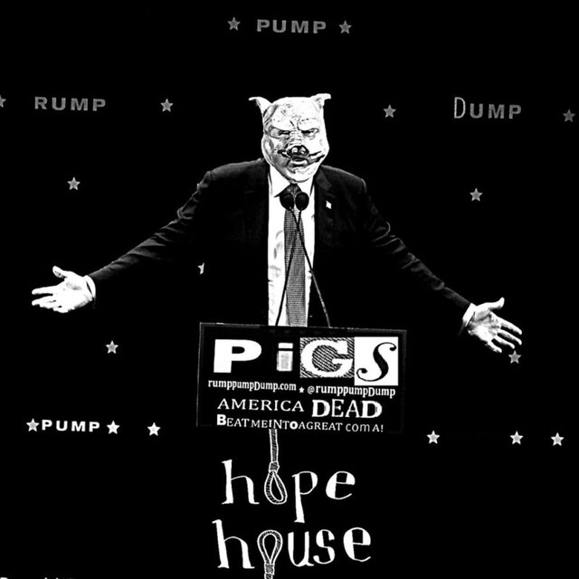 Pigs