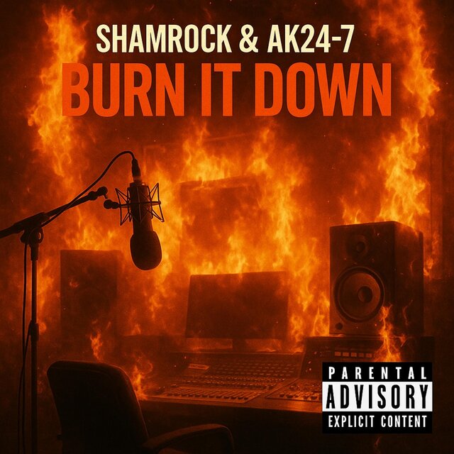 Burn it Down