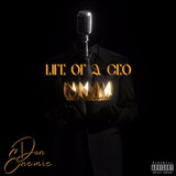 Life of a CEO