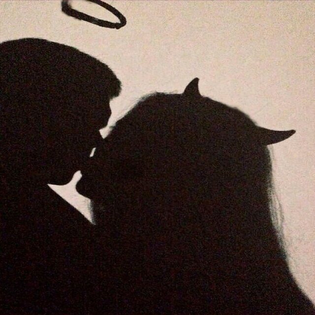 Sentimentos