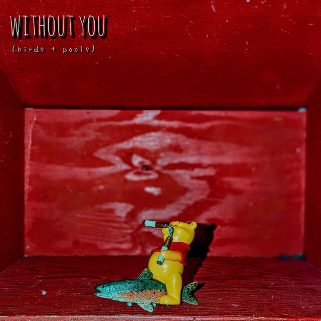 without you (birds + pools)