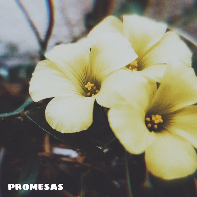 promesas