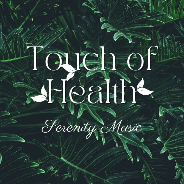 Touch Of Health: Serenity Music