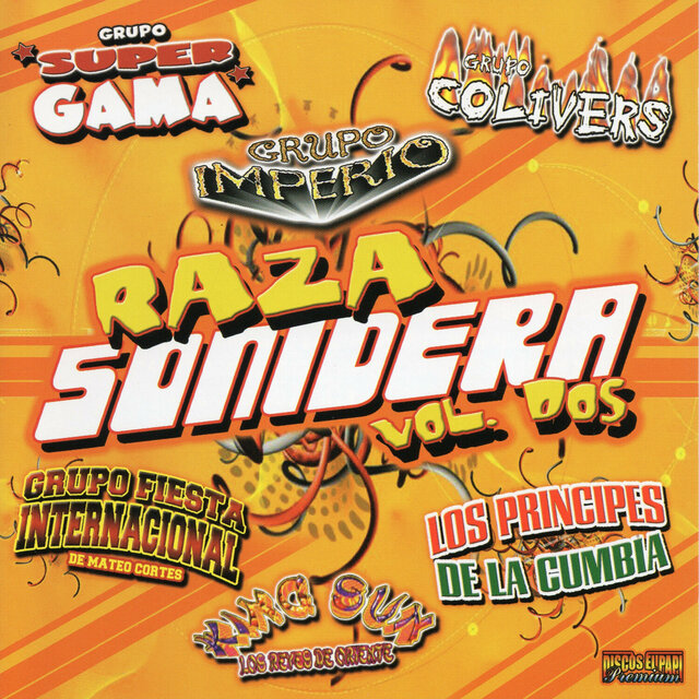 Raza Sonidera  Vol. 2