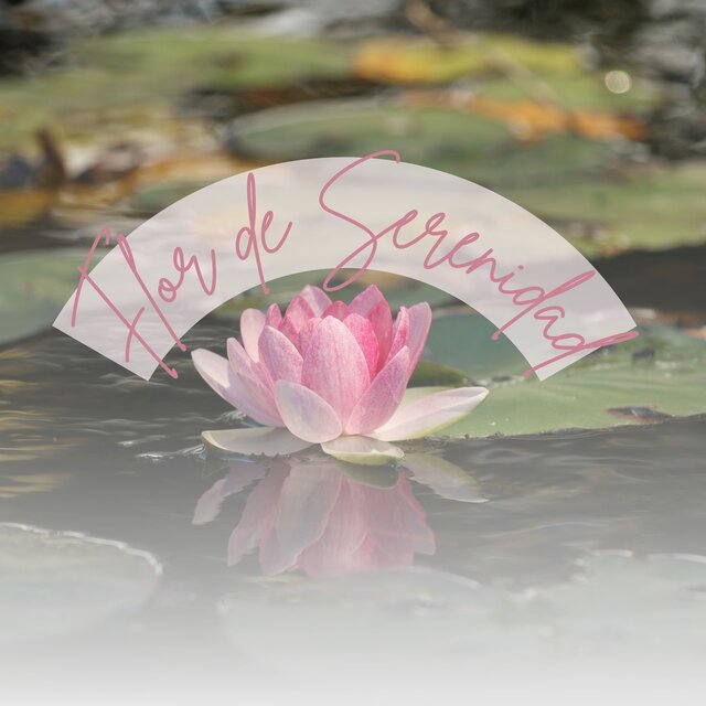 Flor de Serenidad