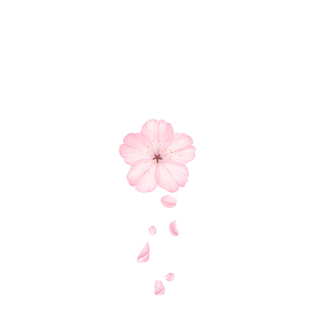 L4L