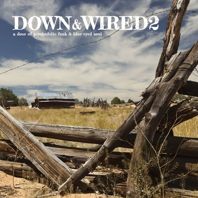 Down & Wired 2