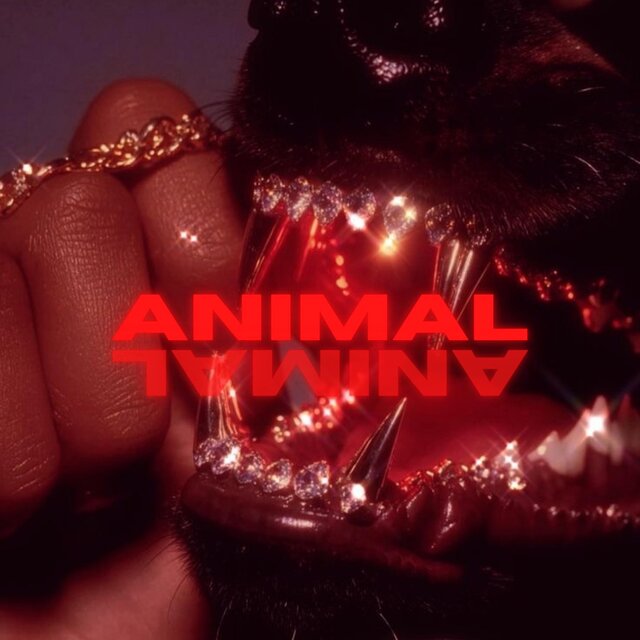 ANIMAL