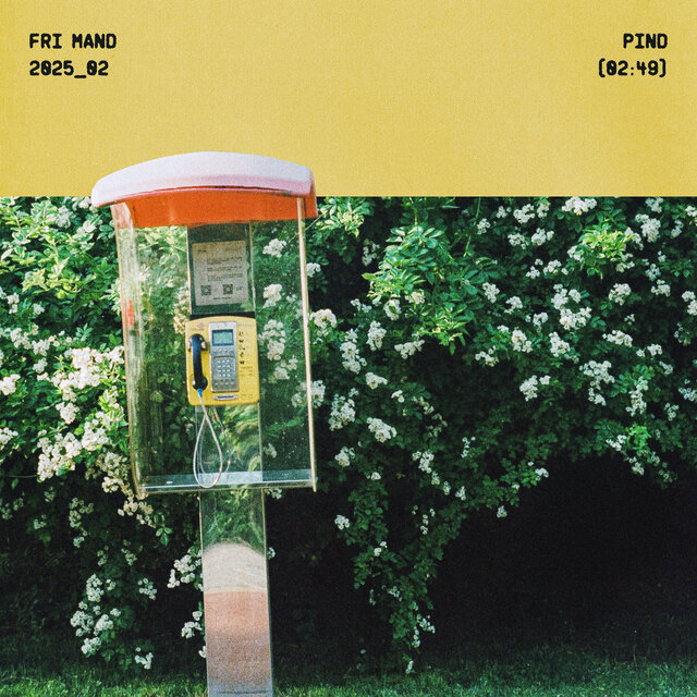 Fri mand