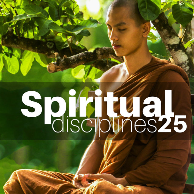 Spiritual Disciplines 25 - Meditation Music