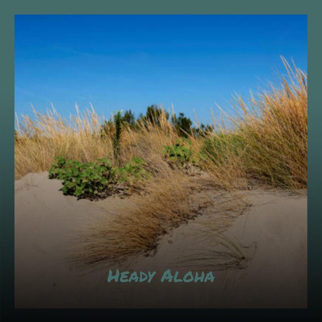Heady Aloha