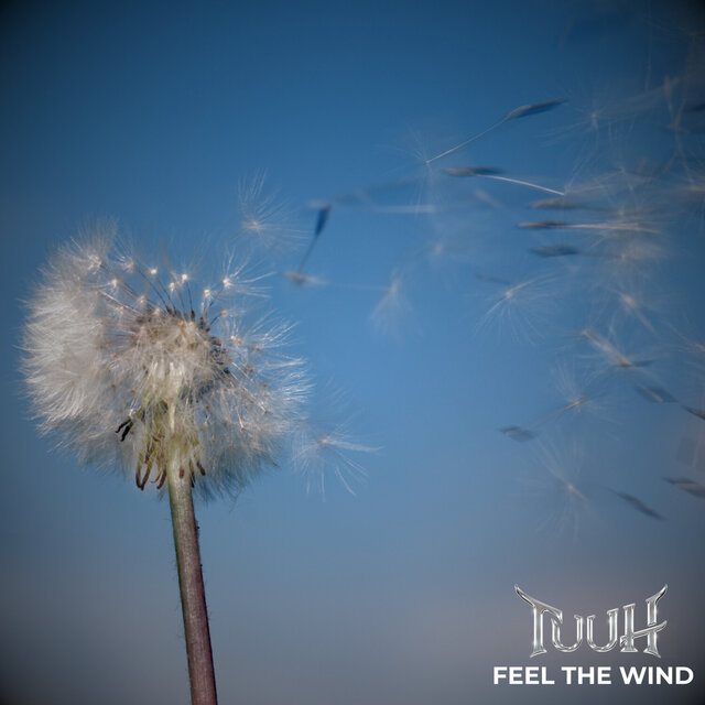 Feel The Wind