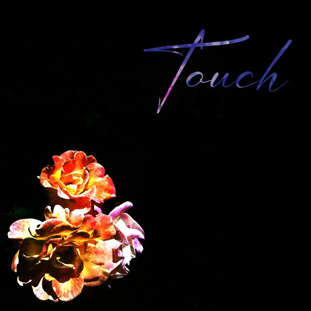 Touch