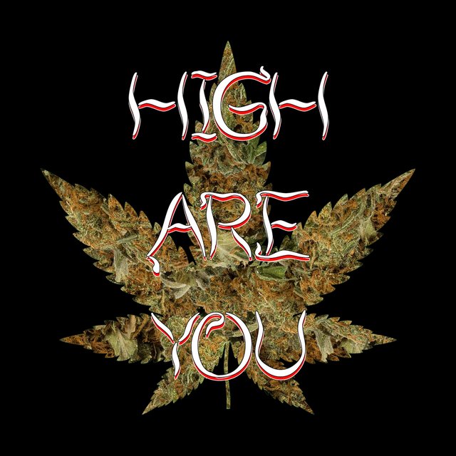 High Are You? (feat. Elle)