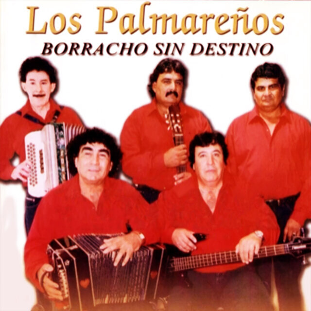 borracho sin destino