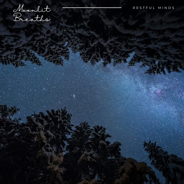 Moonlit Breaths