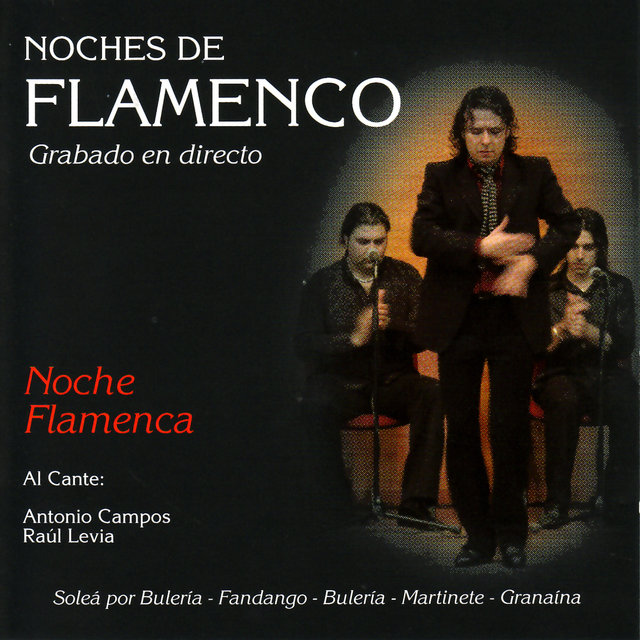 Noches de Flamenco - Noche Flamenca