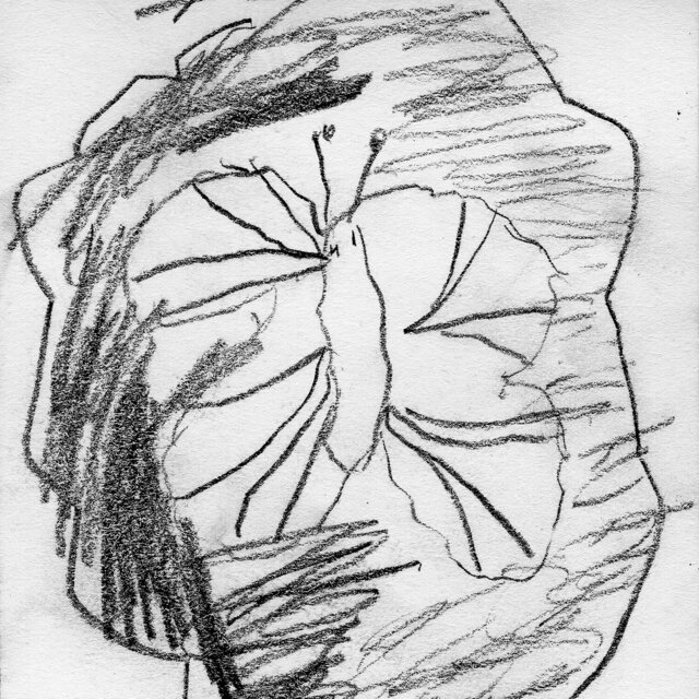 Cover art for album The lower forty eight by Fif