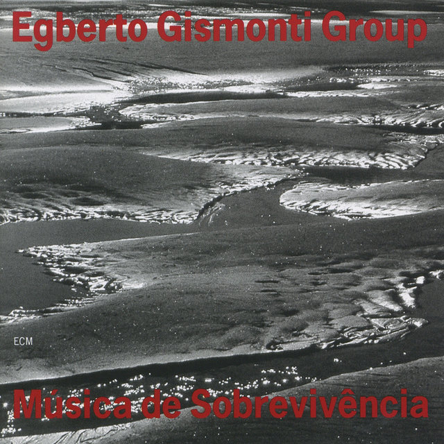 Música De Sobrevivência
