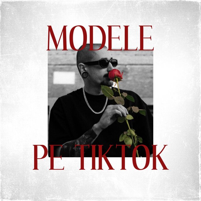 Modele pe tt