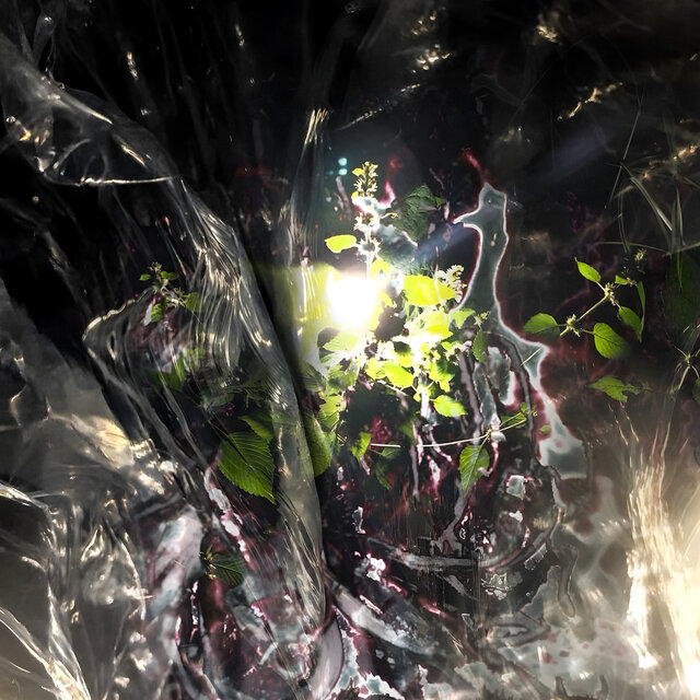 Petals of Nehan