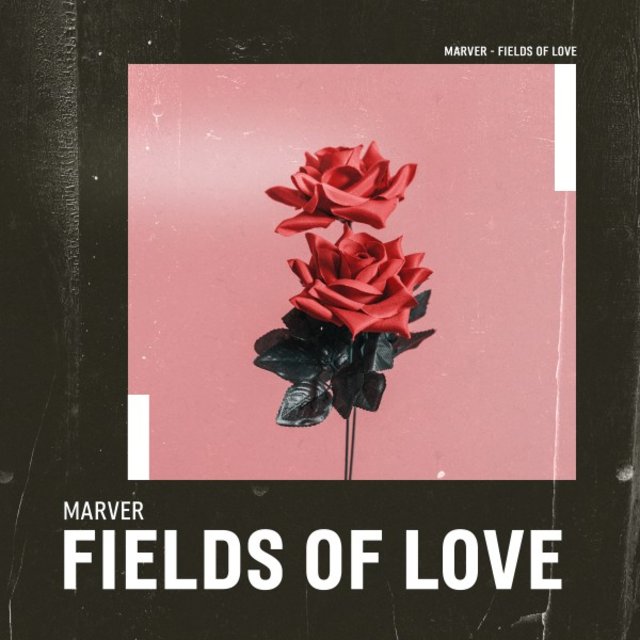 Fields of Love