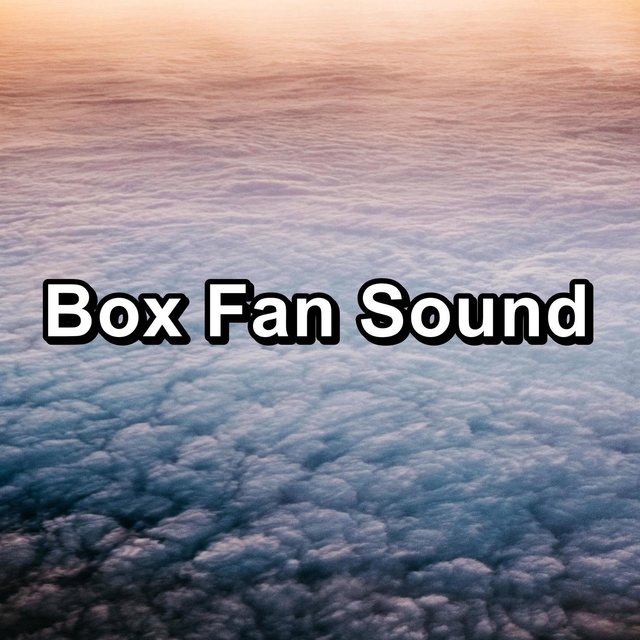 Box Fan Sound