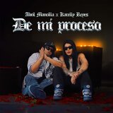 De mi proceso