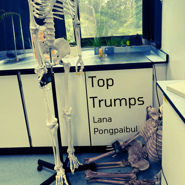 Top Trumps