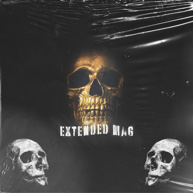 Extended mag