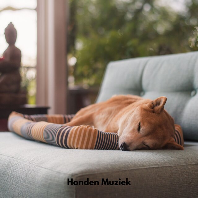 Honden Muziek
