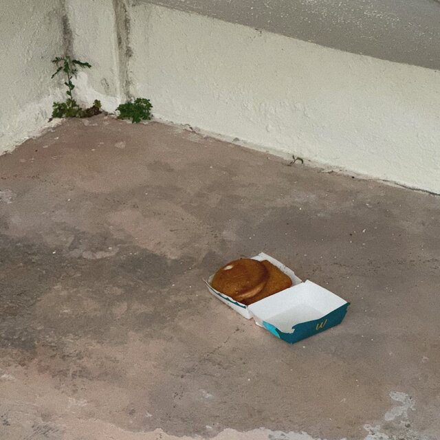 did u see where i left my filet o fish