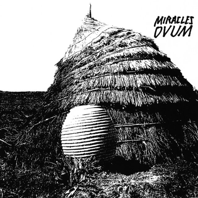 Ovum