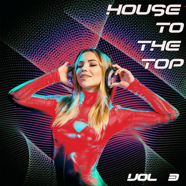 House to the Top, Vol. 3 - House for Every Mood